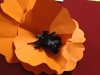 IMG_20240430_100935
