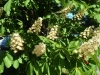 IMG_20240430_102530