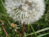 IMG_20240502_133128