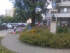 IMAG7718