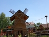 IMG_20250527_130125498_MFNR