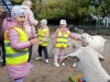 IMG_20241008_102521074_MFNR