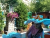 MVIMG_20220701_101721
