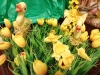IMG_20250320_114624260_MFNR