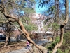 IMG_20250321_114629081_MFNR