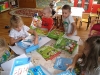 IMG_20220902_091034