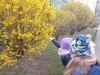 IMG_20250326_111757635_MFNR