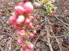 IMG_20250326_112735409_MFNR
