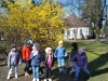 IMG_20240326_111147