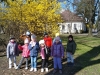 IMG_20240326_111148