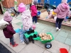 IMG_20241001_112702080_MFNR