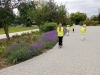 IMG_20250625_165801227_MFNR