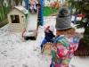 IMG_20250214_105901713_MFNR