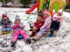 IMG_20250219_114231327_MFNR