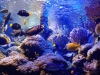 IMG_20250612_131145332_MFNR